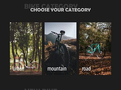 Bicycle website