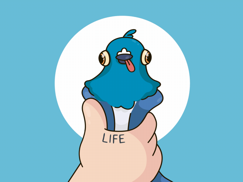 Me and My Life 2d aftereffects animal animate animation animations bird character cute design flat gif graphics illustration motion pigeon pressure shape squeeze vector