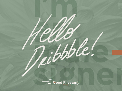 Hello Dribbble ! I'm a indie-signer