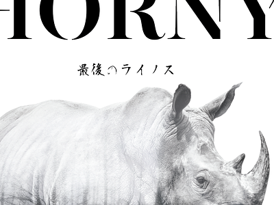 Keep Rhinos Horny black and white horny illustration photography poster protest rhinos typography