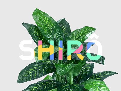 We are Shirô! design logo shirô studio