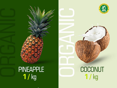 Organic branding graphic design motion graphics