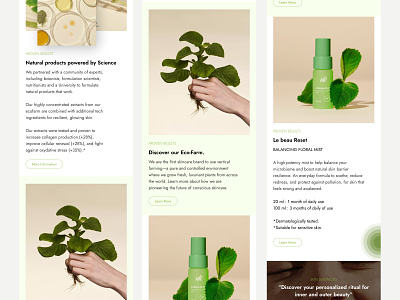 Skincare Product Website Design