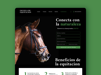 Escuela de Equitación design ui ux web web design website