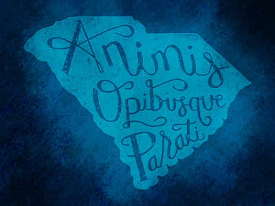 Animis Opibusque Parati blue hand lettered lettered sc south carolina state state motto