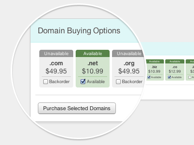 Domain Buying Options ecommerce helvetica web app web form