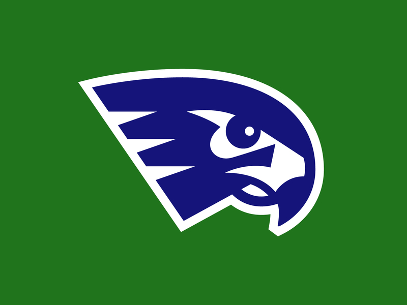 Seahawk Logo animal logo athletics basketball branding football hawk logo logo design north carolina seahawk sports logo washington dc