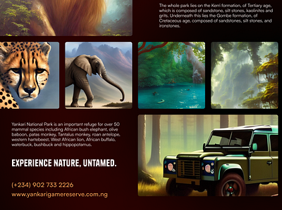 Yankari Game Reserve Poster conservation lagos nature nigeria poster