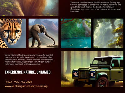 Yankari Game Reserve Poster