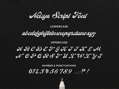 Neisya Script Font