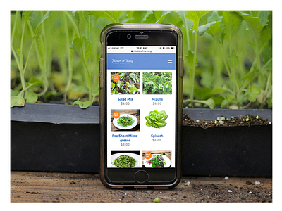 Mission of Mary - Mobile Store ecommerce layout ui urban farm webdesign