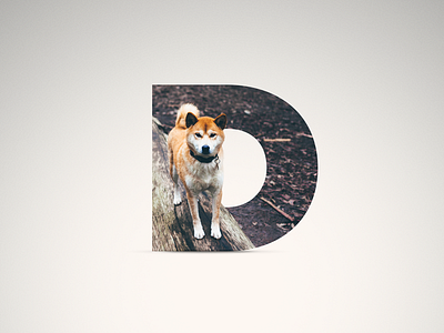 D - Dog d dog doge letter log proxima proxima nova shadow woods