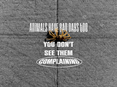 BE AN ANIMAL