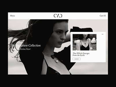 CVC Stones Website Concept ecommerce fashion fashion brand jewelry web web design website website design