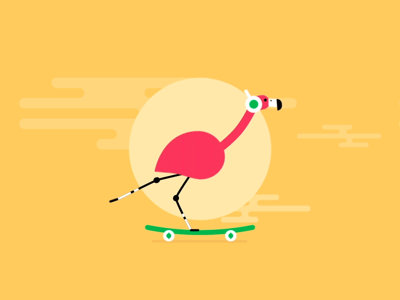 Skater after effects animation flamingo flat gif illustration motion skate skateboard skatersocks summer vector
