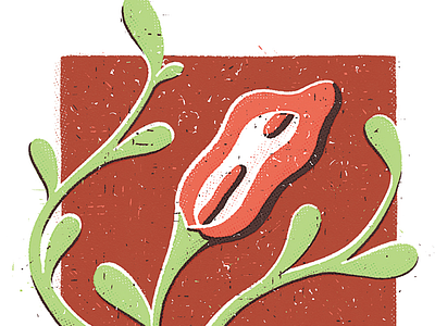 Supernovas editorial illustration illustration plant texture