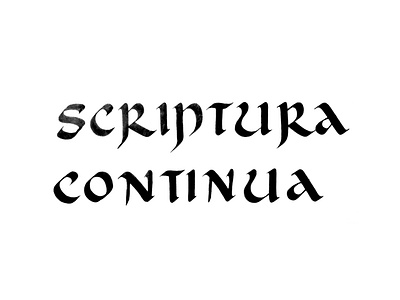 Scripptura Continua typography write