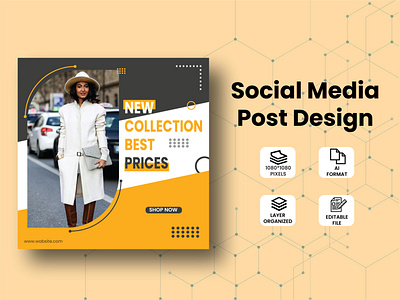 Fashion Social Media Post Design branding design graphic design illustration post design social social media post design