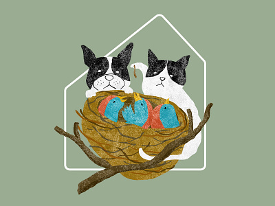 Home sweet home bird cat dog illustration magazine