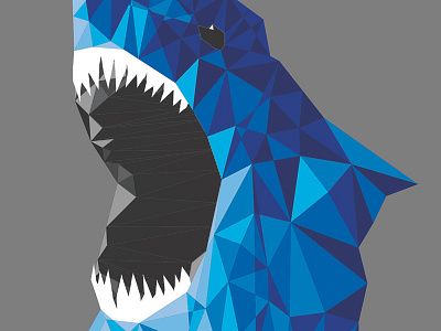 Shark Tee Graphic