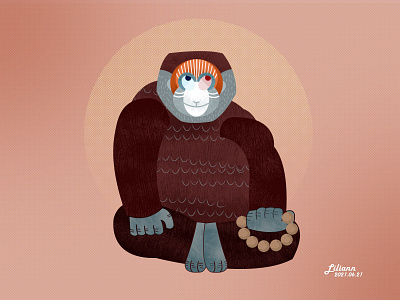 Baboon artist design designer illustration