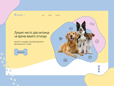 Design concept for a hotel for dogs concept design pet ui ux