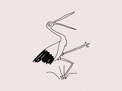 #stork illustration