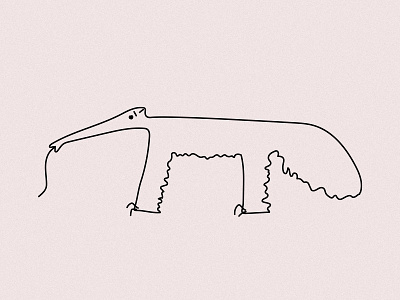 #anteater animal art illustration vector