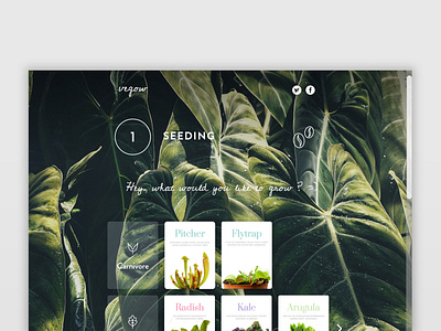 Vegow - Grow your veggies online card green one page plants ui web design website