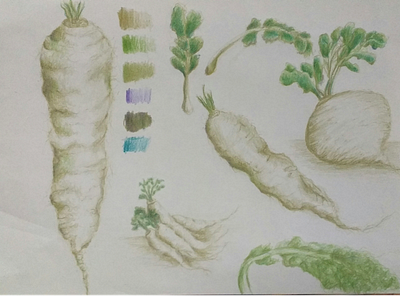 Vegetable shortcut illustration in colored pencil drawing colored pencil desenho tradicional illustration ilustrações shortcuts traditional drawing vegetable vinhetas