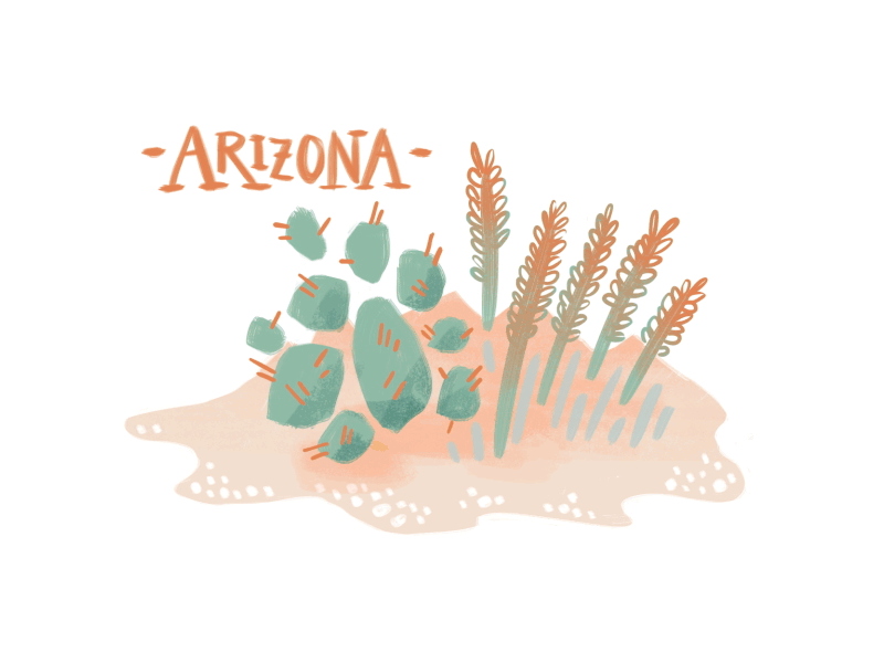 Arizona arizona cactus desert illustration scenery weed