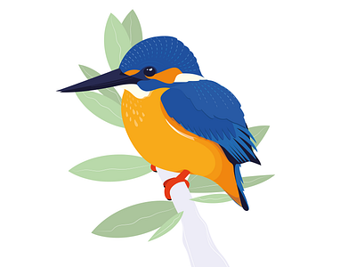 Isfuglen aka. Icebird bird design flat icebird illustration isfuglen minimal vector vectorillustration web website