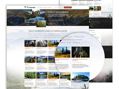 Treeographer (unaccepted layout) design design web site site design ui ui design ux web design