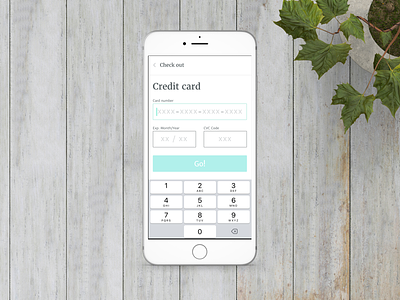 Credit card check out screen credit card mobile payment