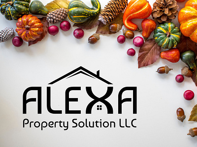 Alexa Property Solution