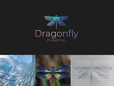 Dragonfly properties real estate logo branding logo