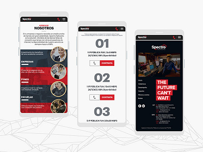 Spectro Networks LP - Mobile design internet landing page responsive ui ux web design web designer