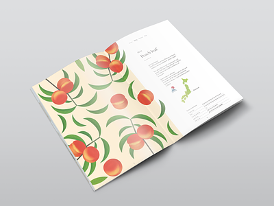 Botanical Revival Booklet design editorial design editorial illustration icon illustration layout leaflet design