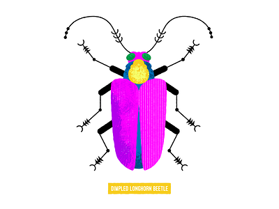 longhorn beetle beetle bug design illustration vector