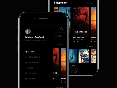 Spotify - Now playing by Abdul Rehman on Dribbble