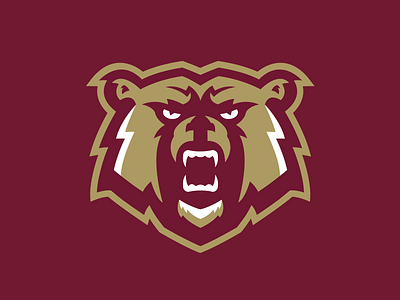 Kutztown Golden Bear bear branding college design graphics illustration kutztown logo sports sports branding university vector