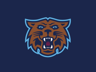 \\V//illanova Wildcat branding graphics logo sports sportsdesign design vector
