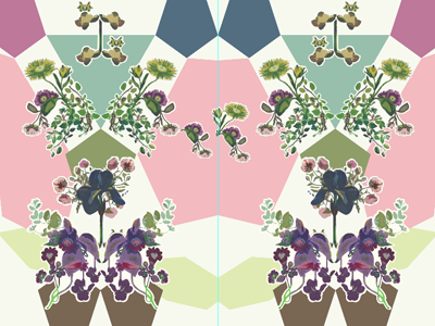 new collection of wallpaper bloom