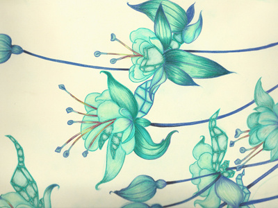 Landscape. colours drawing flores flowers geo illustration ilustracion turquesa
