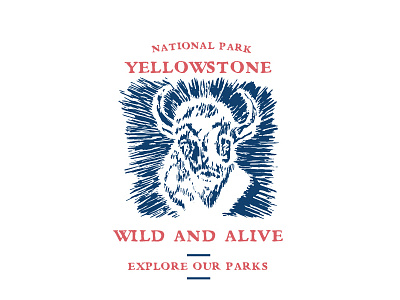 wild and alive bison national parks printmaking yellowstone