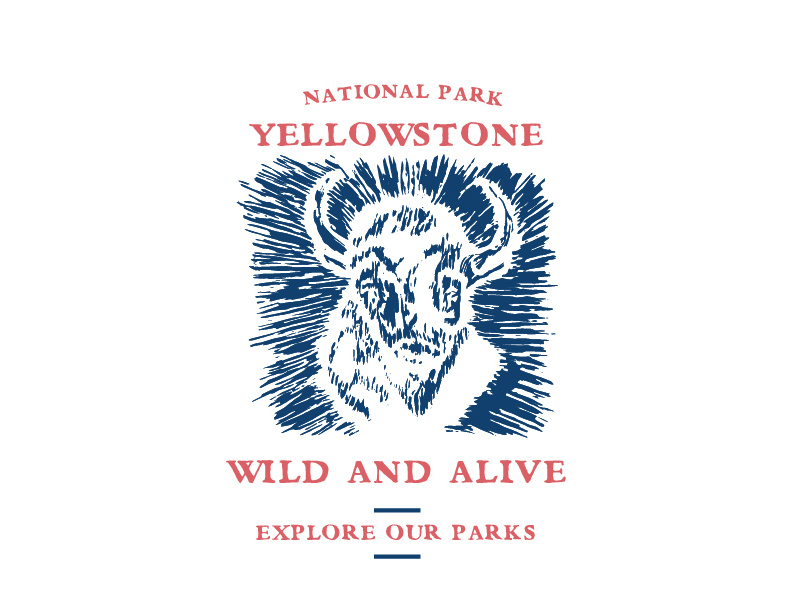 wild and alive printmaking bison national parks yellowstone