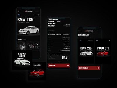 Nür Experience - Concept Mobile App app app design apple bmw brazil brunosaid car concept design concept ui design device germany mobileapp nurburgring track day ui ux uidesign uxdesign vehice vw