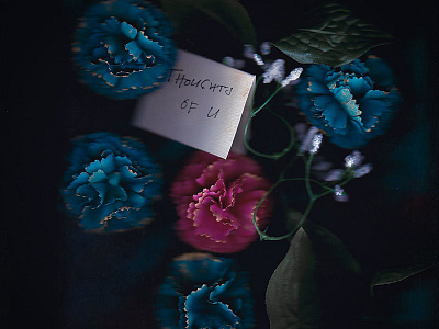 Kidthrones - Thoughts of U branding cover art flowers kidthrones music thoughts of u
