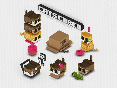 CatsCubed voxel cats 3d c4d cat in box character design cute fat cat funny cats ios isometric kitten low poly minecraft stickers videogame voxelart
