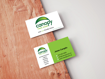 Canopy Tree Care branding graphic design illustration logo design marketing vector